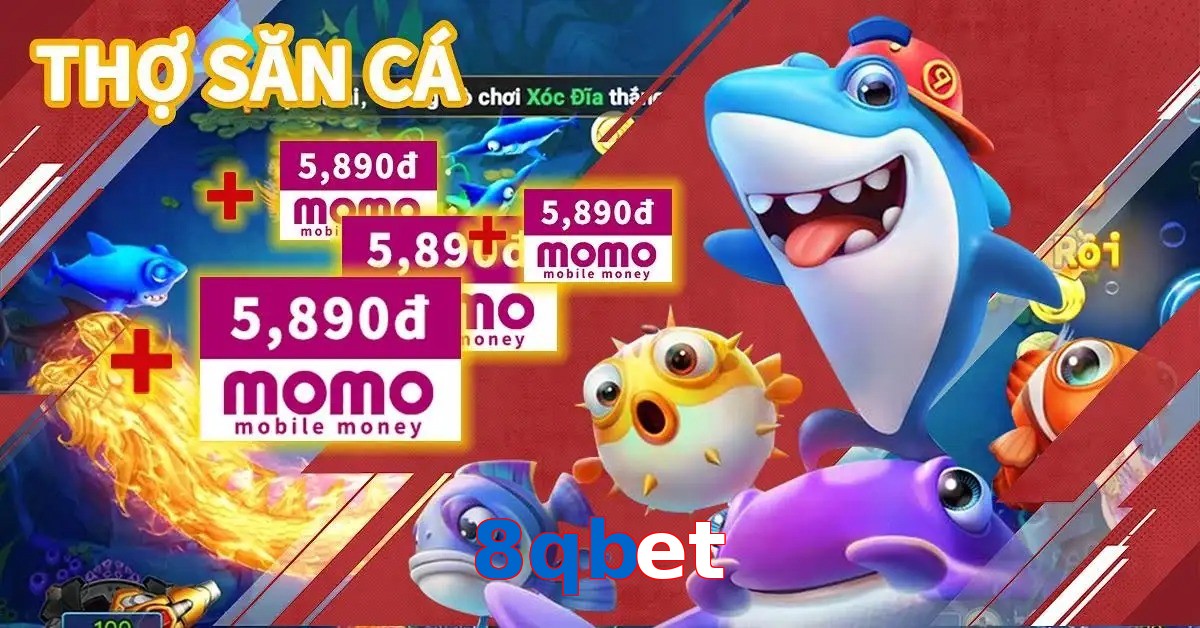 8qbet
