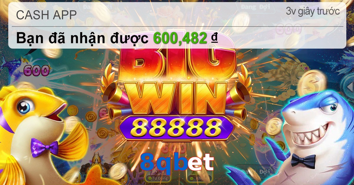 8qbet