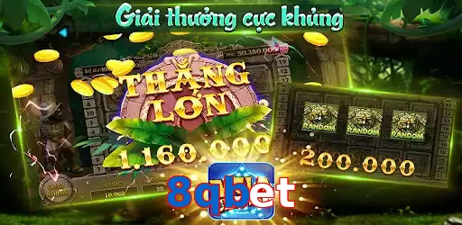 8qbet